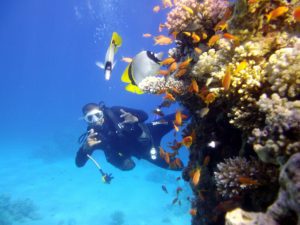 Дайвинг с берега, Дайвинг Тиран, Shore Diving in Sharm el sheikh