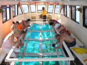 Glass Bottom Boat Trip in Sharm El Sheikh