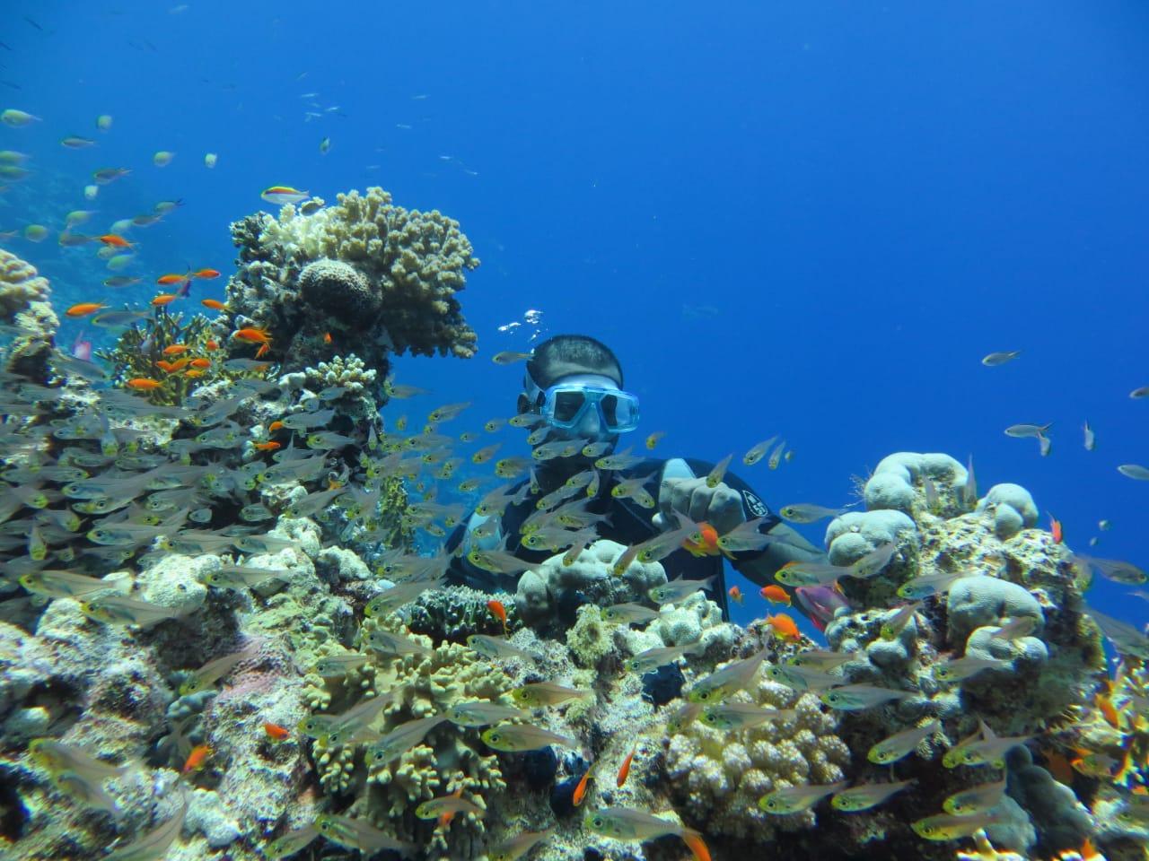 остров Тиран