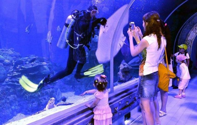 Гранд Аквариум в Хургаде, Grand Aquarium Hurghada