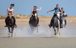 horseback riding in hurghada 1 870x555 1