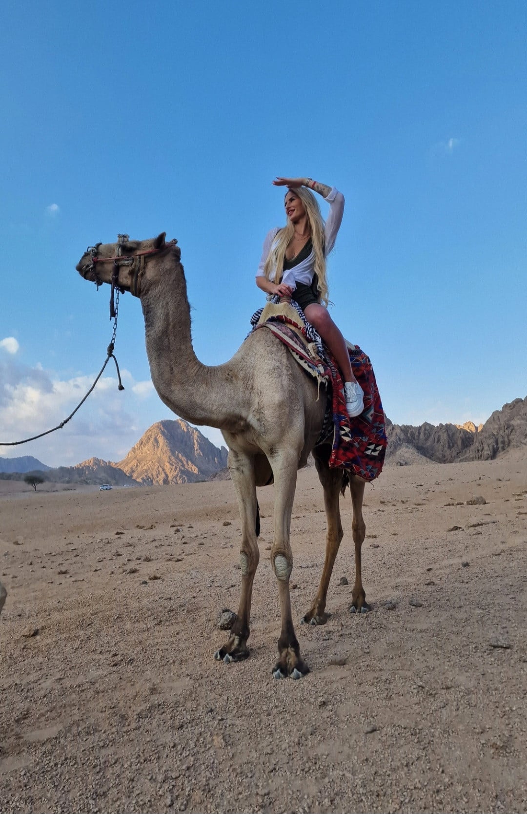 Screenshot_20241221_153223_Gallery