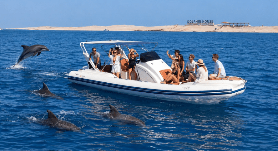 Private Speedboat to Dolphin House & White Island